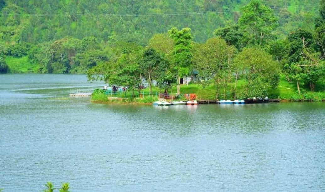 Munnar Lush Greens エクステリア 写真