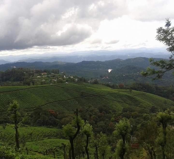 Munnar Lush Greens エクステリア 写真