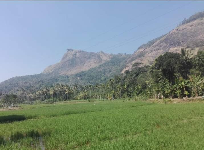 Munnar Lush Greens エクステリア 写真