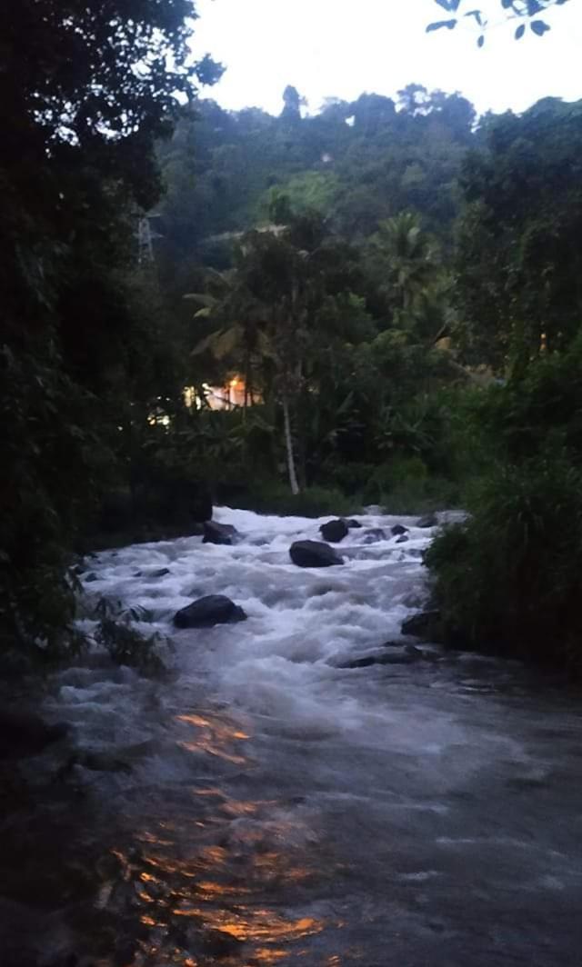 Munnar Lush Greens エクステリア 写真